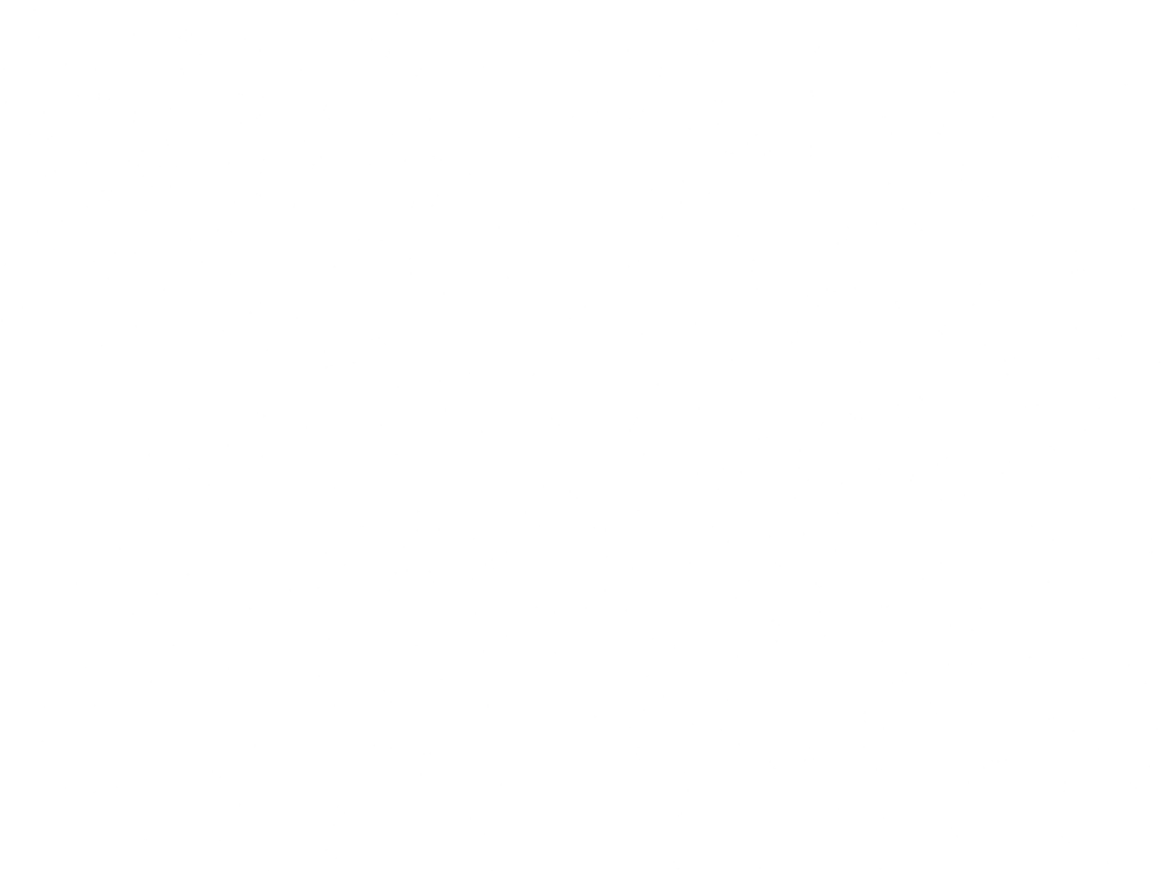 Many tiny white dots that make up the night sky